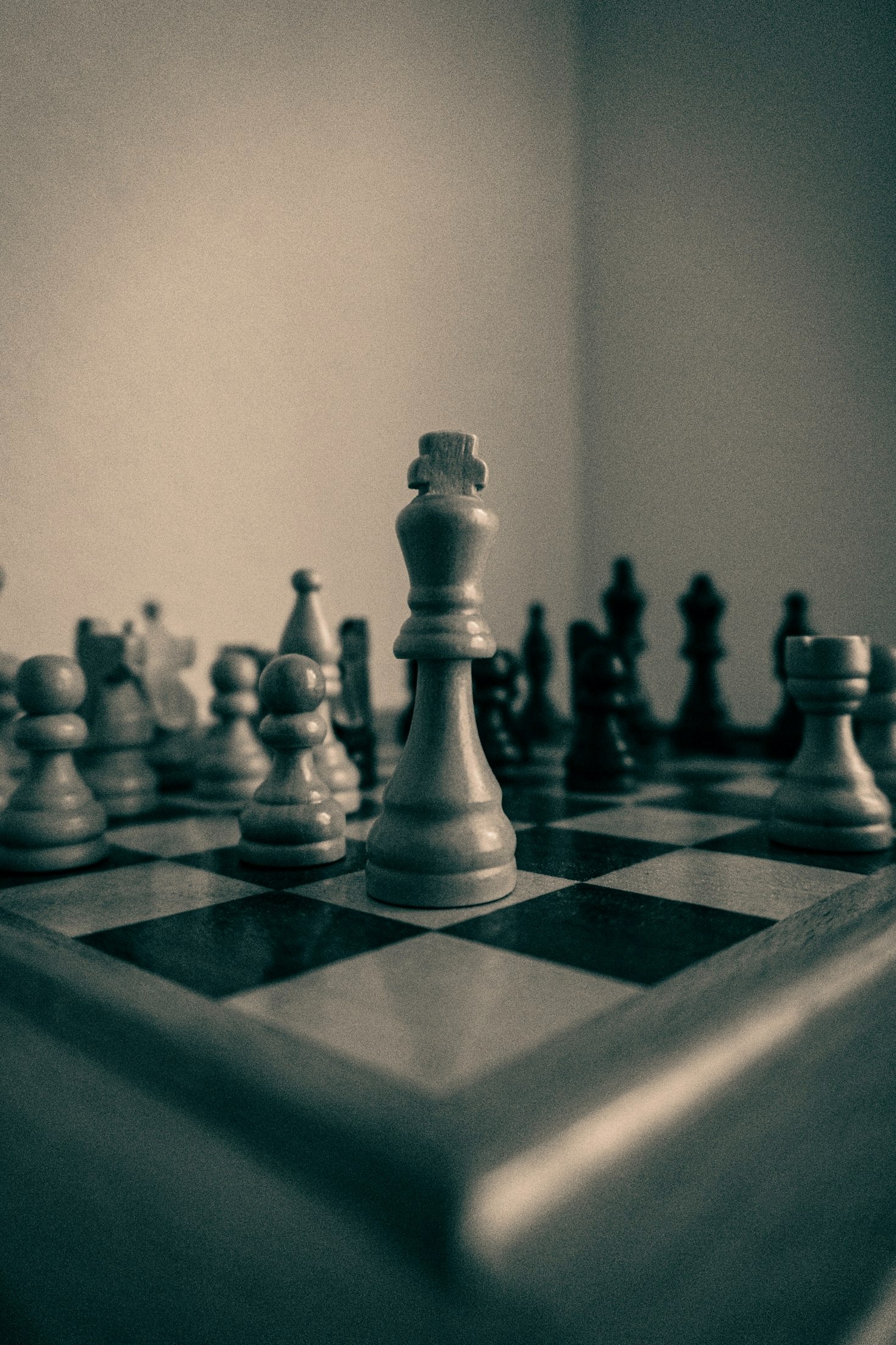 Spotlight: Success Stories from Our Chess Community