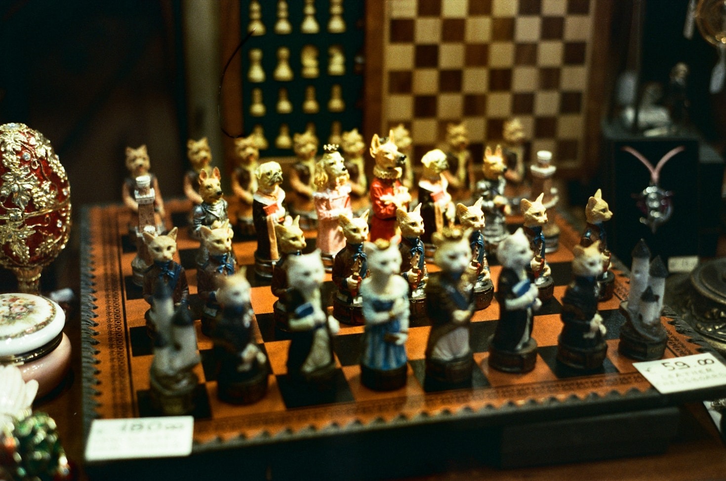 The Social Side of Chess: Building Friendships Through the Game